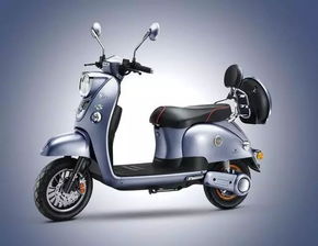 買電動車注意 今天起,三亞這些不符合規定車型全部作廢