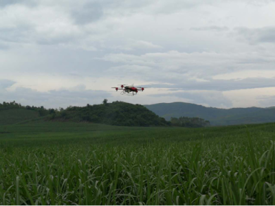 崇左湘桂蔗區引進植保無人機,助力甘蔗生產