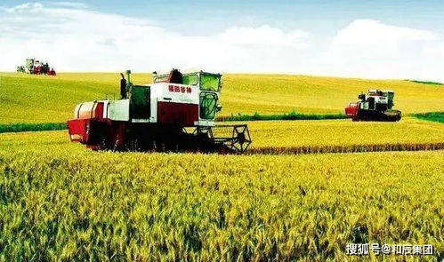 和辰咨詢 中央撥款45億 托管農(nóng)業(yè) 上升為國(guó)家重點(diǎn)支持項(xiàng)目