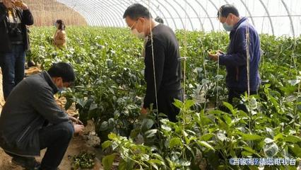 靖遠:&ldquo;三區&rdquo;人才科技服務助力打贏脫貧攻堅戰