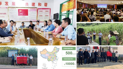 黨建巡禮&middot;樣板支部 | 黨建引領聚合力,守護中國&ldquo;糖罐子&rdquo;