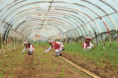 聚焦黨代會 | 五華奮力譜寫區域性國際中心城市高品質核心區建設嶄新篇章