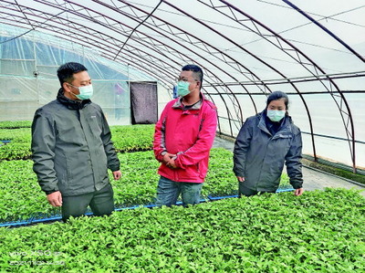 酒泉市農(nóng)科院科技服務(wù)保障蔬菜生產(chǎn)安全