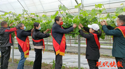 鹽城勞模愛心團隊 科技助農，護航春耕防疫“兩不誤”